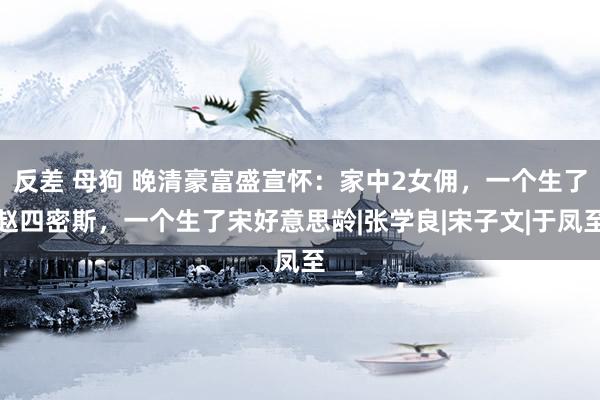 反差 母狗 晚清豪富盛宣怀：家中2女佣，一个生了赵四密斯，一个生了宋好意思龄|张学良|宋子文|于凤至