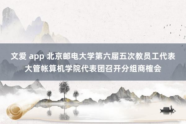 文爱 app 北京邮电大学第六届五次教员工代表大管帐算机学院代表团召开分组商榷会
