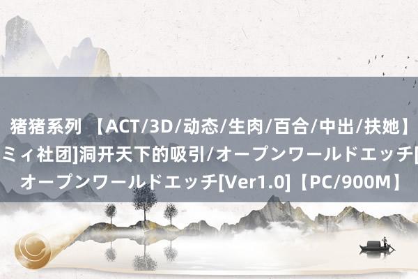 猪猪系列 【ACT/3D/动态/生肉/百合/中出/扶她】[RJ01280594/ニョパミィ社团]洞开天下的吸引/オープンワールドエッチ[Ver1.0]【PC/900M】