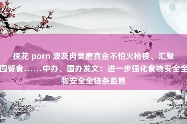 探花 porn 波及肉类磨真金不怕火检疫、汇聚订餐、校园餐食……中办、国办发文：进一步强化食物安全全链条监管