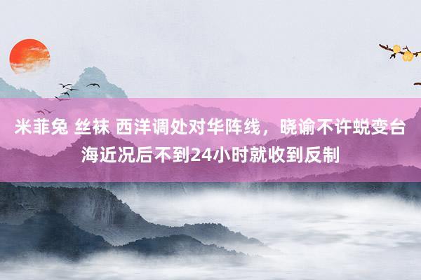 米菲兔 丝袜 西洋调处对华阵线，晓谕不许蜕变台海近况后不到24小时就收到反制