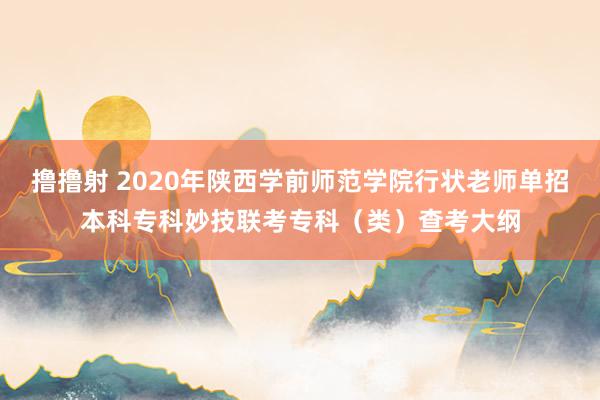 撸撸射 2020年陕西学前师范学院行状老师单招本科专科妙技联考专科（类）查考大纲
