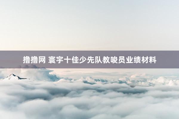 撸撸网 寰宇十佳少先队教唆员业绩材料