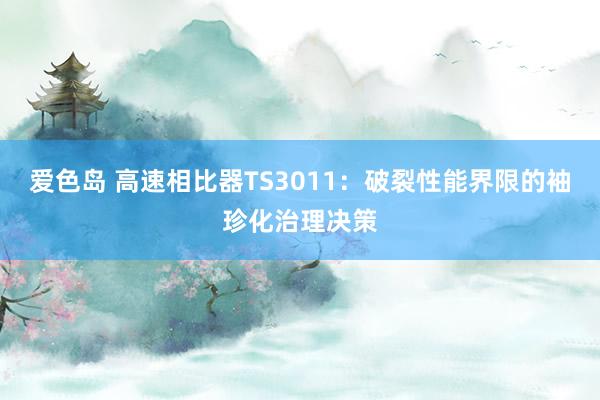 爱色岛 高速相比器TS3011：破裂性能界限的袖珍化治理决策