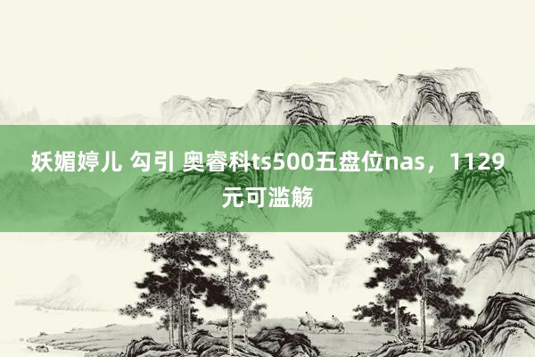妖媚婷儿 勾引 奥睿科ts500五盘位nas，1129元可滥觞