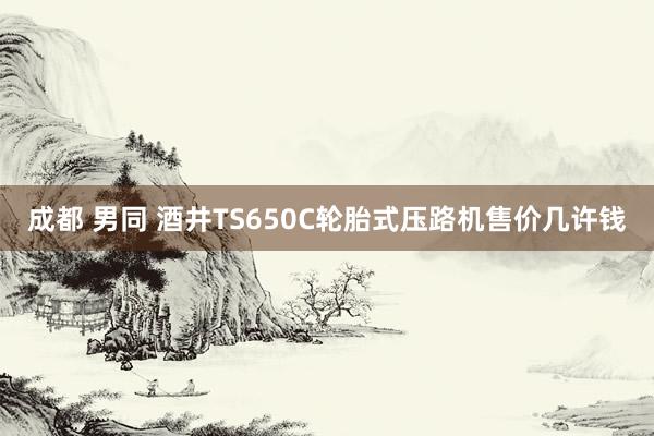 成都 男同 酒井TS650C轮胎式压路机售价几许钱