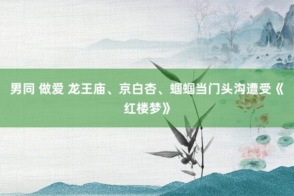 男同 做爱 龙王庙、京白杏、蝈蝈当门头沟遭受《红楼梦》