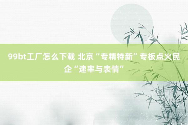 99bt工厂怎么下载 北京“专精特新”专板点火民企“速率与表情”