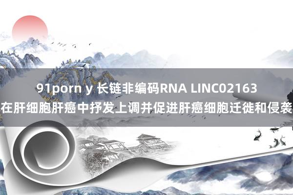 91porn y 长链非编码RNA LINC02163在肝细胞肝癌中抒发上调并促进肝癌细胞迁徙和侵袭