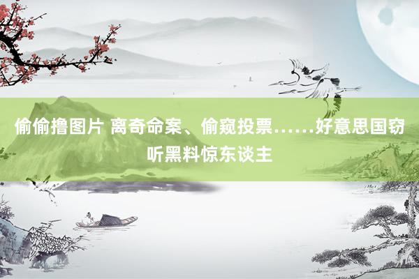 偷偷撸图片 离奇命案、偷窥投票……好意思国窃听黑料惊东谈主