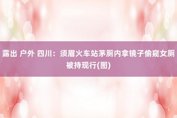 露出 户外 四川：须眉火车站茅厕内拿镜子偷窥女厕被持现行(图)