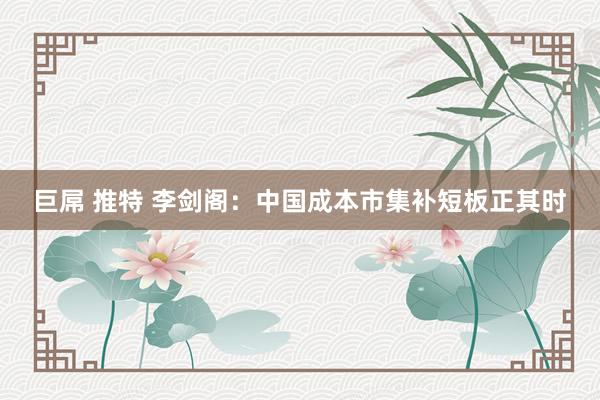 巨屌 推特 李剑阁：中国成本市集补短板正其时