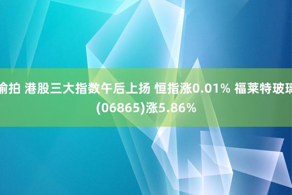 偷拍 港股三大指数午后上扬 恒指涨0.01% 福莱特玻璃(06865)涨5.86%