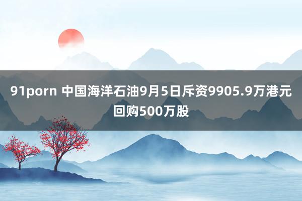 91porn 中国海洋石油9月5日斥资9905.9万港元回购500万股