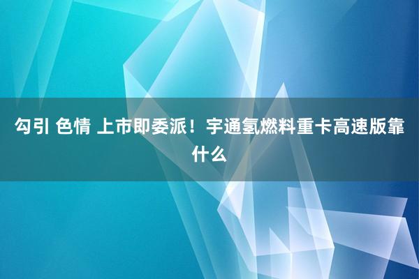 勾引 色情 上市即委派！宇通氢燃料重卡高速版靠什么