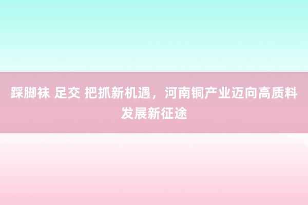 踩脚袜 足交 把抓新机遇，河南铜产业迈向高质料发展新征途