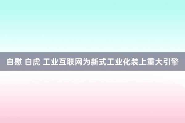 自慰 白虎 工业互联网为新式工业化装上重大引擎