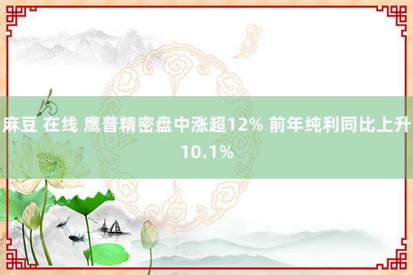 麻豆 在线 鹰普精密盘中涨超12% 前年纯利同比上升10.1%